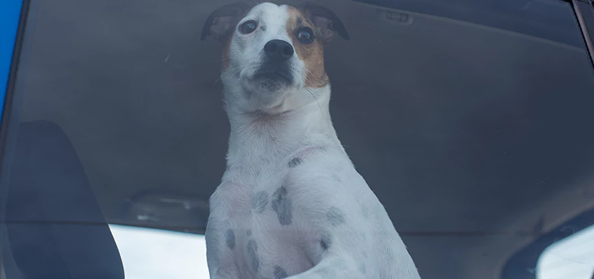 Car Lockout Solutions in Concord, California