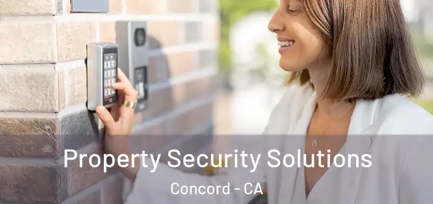  Property Security Solutions Concord - CA